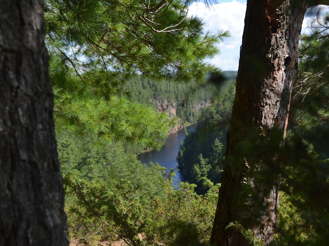 Barron Canyon Trail Guide: One of Algonquin Park's Most Spectacular Hikes