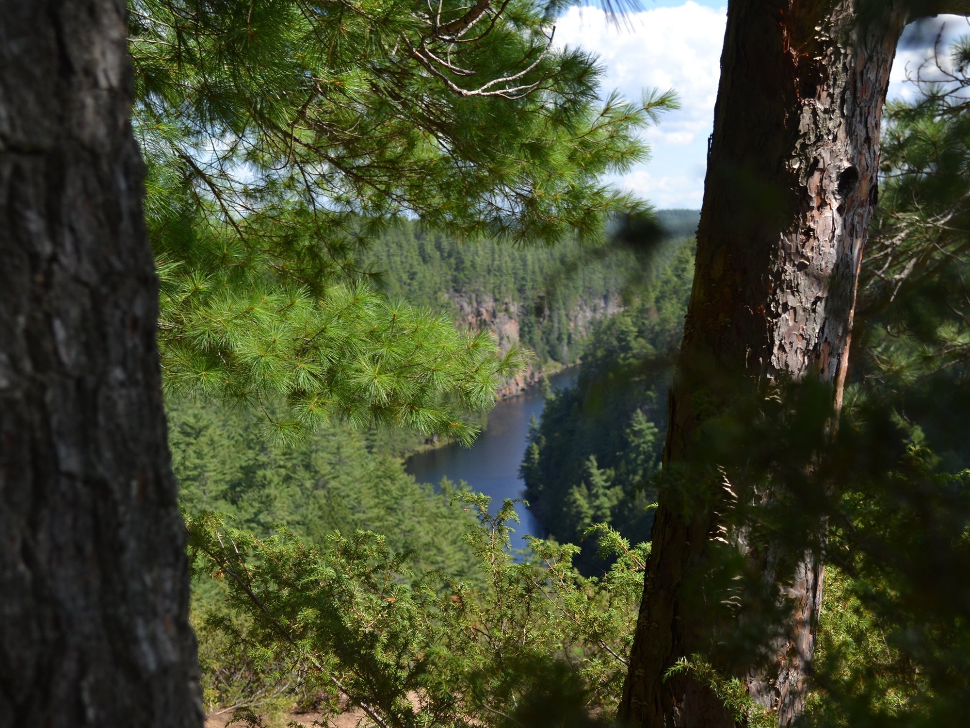 Barron Canyon Trail Guide: One of Algonquin Park's Most Spectacular Hikes